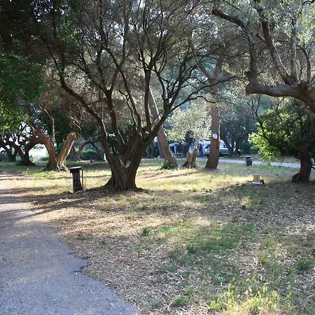 Le Beau Veze Campsite Carqueiranne